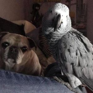 Meet your Posher, Nancy